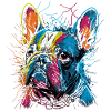 Bouledogue français