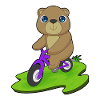 Vélo d’ours