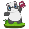 Panda Book