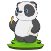 Panda Schüler Bleistift Schule