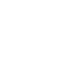 RENEGADE