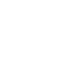 Game Developer Evolution