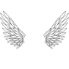 Renegade 1