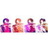 Flamingos