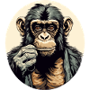 Haki the chimpanzee