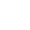Minimalist flower