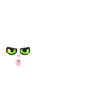Miaou typographique