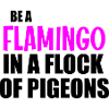 Be a flamingo funny quote