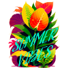 SUMMER VIBES