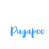 Perfekter Pugapoo - Pudel Mops Mix