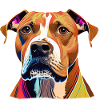 American Staffordshire Terrier Dog