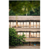 hotel under palm trees