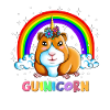 Guinicorn Rainbow Guinea Pig Guinea Pig