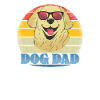 Dog Golden Retriever Dog Owner