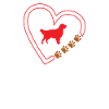 Dog Golden Retriever Dog Owner