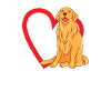 Dog Golden Retriever Dog Owner