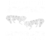 Reptile lover, zookeeper