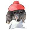 Artist Dog