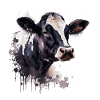 Black and white dairy cow