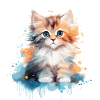 kitten