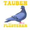 Tauben Flüsterer Taubenfreunde Taubenzucht