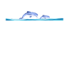 Delphin Dolphin
