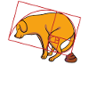 Fibonacci Golden Ratio Dog Memes