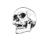 Funny Gothic skull