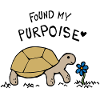 Found My Purpoise Tortoise