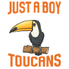 Toucan Bird Rainforest
