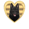 Schipperke - Dog Lovers - Dog Heart