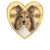 Sheltie - Dog Lover - Dog Heart