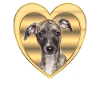 Whippet - Dog Lover - Dog Heart