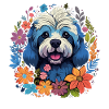 Havanese Dog Gift