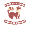 Ferret polecat cute