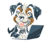 Web Developer Web Developer Cute