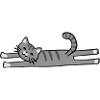 streching grey cat