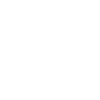 Minimalist flowers