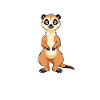 Tiere Erdmännchen Erdmännchene Geschenk