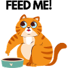 FEED ME CAT
