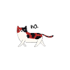 no cat