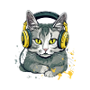Jili the audiophile cat