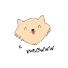 meoww cat