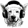 Jack the audiophile dog