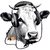 Jiji the audiophile cow