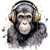 Kili the audiophile monkey