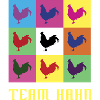 Team Hahn