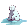 Eisbär ohne Eis Klimawandel