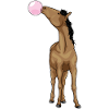 Horse chewing gum