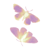 Schmetterling gelb/rosa